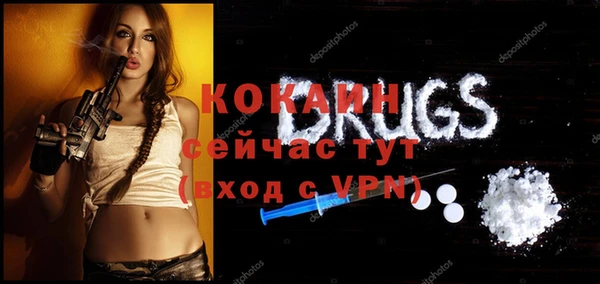 гидра Горно-Алтайск