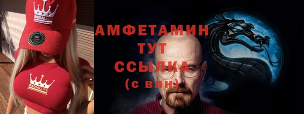 гидра Горно-Алтайск