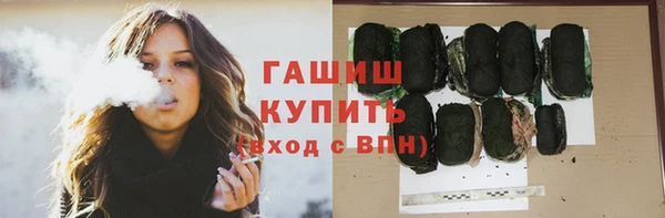 гидра Горно-Алтайск
