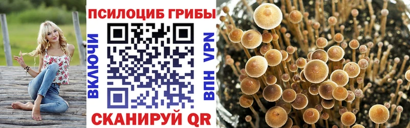 Псилоцибиновые грибы прущие грибы  Михайлов 